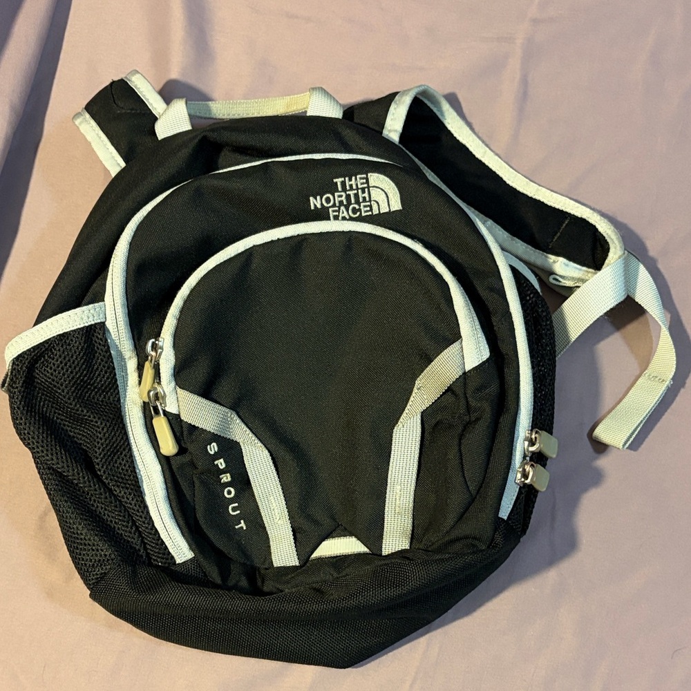 The North Face Black and Gray Backpack